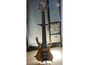 HK Instruments Custom Bass 6 Strings