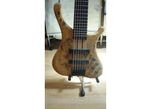 HK Instruments Custom Bass 6 Strings