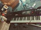 Roland VP-550