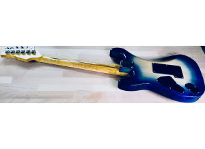 usa-custom-shop-2404108