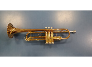 trompette (3)