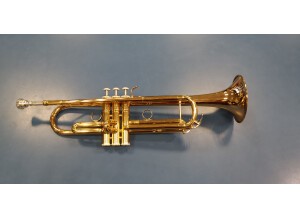 trompette (4)