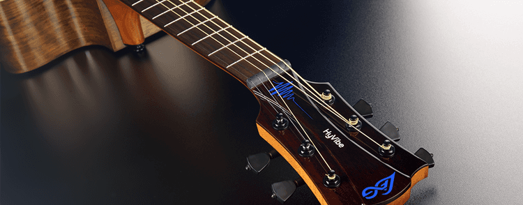 L&acirc;g Tramontane HyVibe THV20DCE : thv20-3