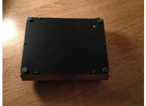 Electro-Harmonix Deluxe Memory Man Mk4 (22466)