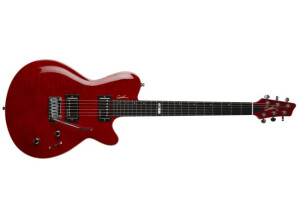 Godin DS-1 Daryl Stuermer Signature Edition