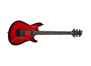 Framus TeamBuilt Diablo II Progressive X