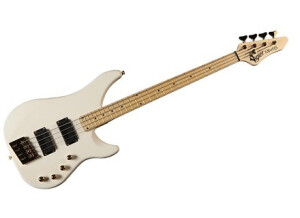 vigier-excess-indus-183403