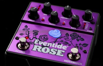 feature-image-rose feature-image-rose