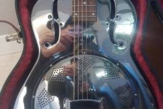 Epiphone MD-100