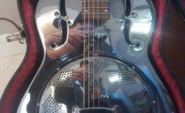 Epiphone MD-100
