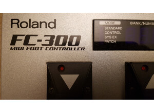 Roland FC-300 (95211)