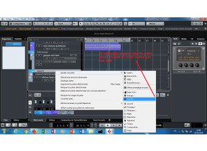 Steinberg Cubase Pro 9.5 (59657)