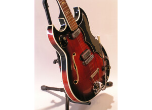 Fender F-35 (98191)