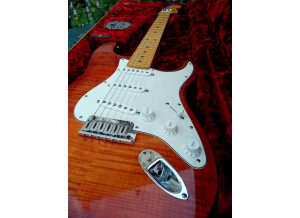 Fender Select Stratocaster (37761)