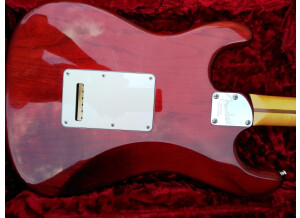 Fender Select Stratocaster (7384)