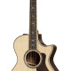 812ce 12-Fret (2019) 812ce 12-Fret (2019)
