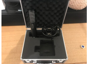 Royer Labs R-101 (50597)