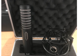 Royer Labs R-101 (1328)