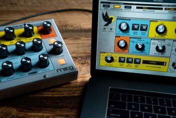 Sirin Beauty with Wood-4 Sirin Beauty with Wood-4