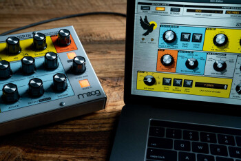 Sirin Beauty with Wood-4 Sirin Beauty with Wood-4