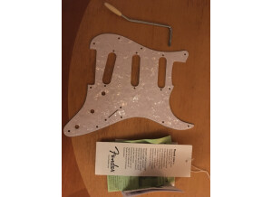 Fender Classic Player '60s Stratocaster (19941)