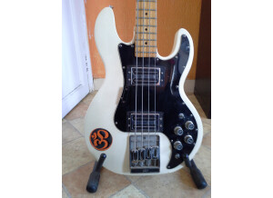 Peavey (4)