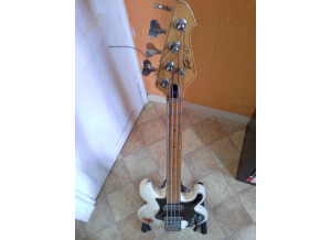 Peavey (6)