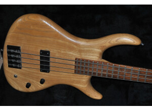 Takamine ETN10C (72648)