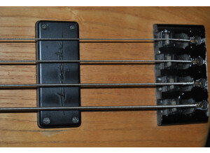 Takamine ETN10C (39181)