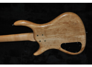 Takamine ETN10C (73967)