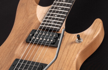 4N pickups 4N pickups