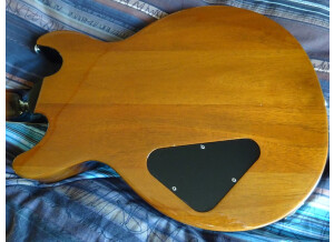 Gibson spécial DC (62130)
