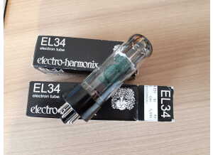 Electro-Harmonix EL34 Matched Pair