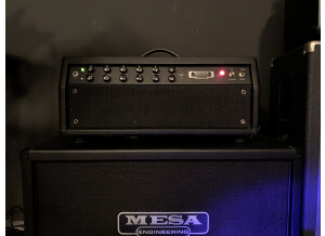 Mesa Boogie F50 Head (26354)