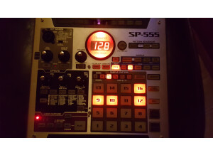 Roland SP-555 (40361)
