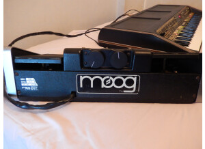 Moog Music Emerson Moog Modular System (49525)