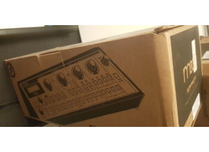 Moog Music SlimPhatty (94800)