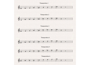 08 Messiaen 6 transpo