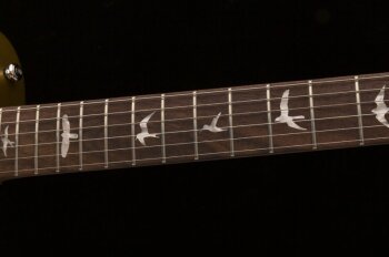 se_santana_singlecut_trem_photo5 se_santana_singlecut_trem_photo5