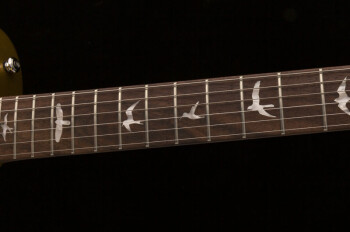 se_santana_singlecut_trem_photo5 se_santana_singlecut_trem_photo5