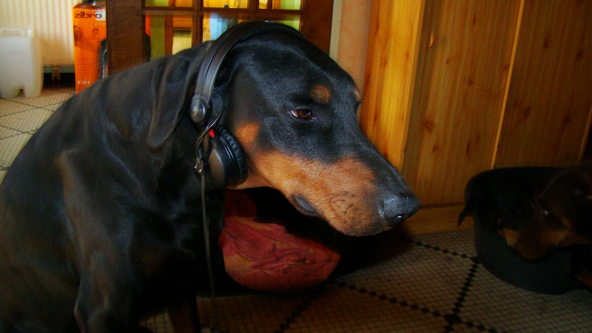 Sennheiser HD 25-1 II