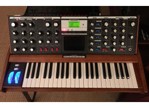 Moog Music Minimoog Voyager Performer Edition (94343)