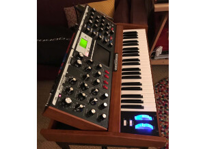 Moog Music Minimoog Voyager Performer Edition (17354)
