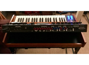 Moog Music Minimoog Voyager Performer Edition (27635)