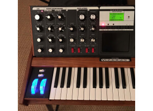 Moog Music Minimoog Voyager Performer Edition (91843)