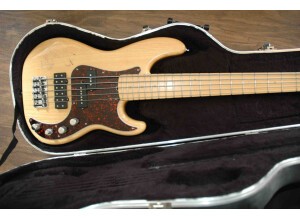 Fender American Deluxe Series - Precision Bass V Ash Mn BB