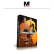 Strummed Acoustic 2 Strummed Acoustic 2