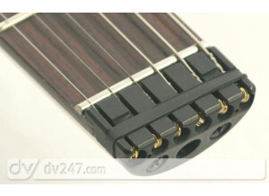 Steinberger Spirit GT-PRO