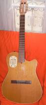 Godin Acousticlassic