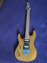 Lâg Custom Shop The Beast LH